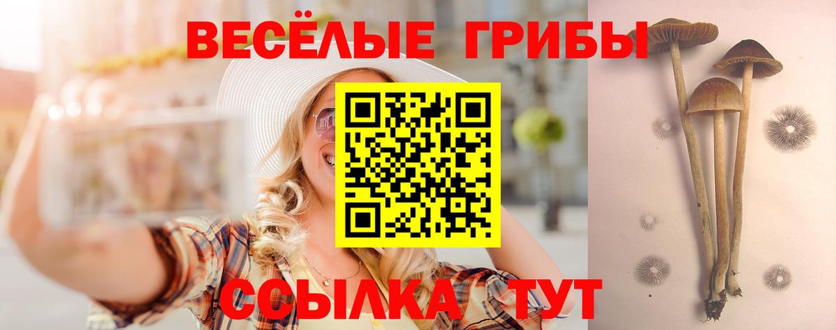 Ейск  Псилоцибиновые грибы прущие грибы  Вход с VPN 